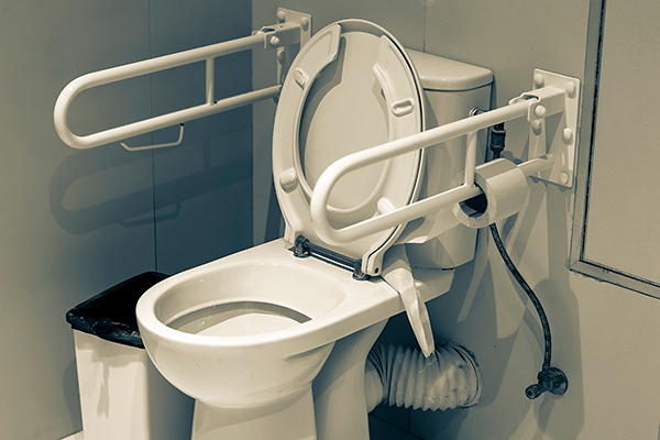 senior assist toilet safety bars MD